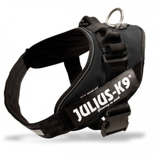 Julius k9 idc 2024 harness size 2